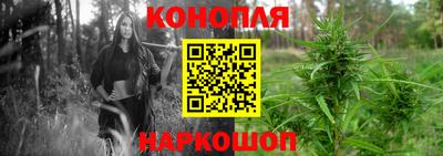 прущие грибы Бугуруслан