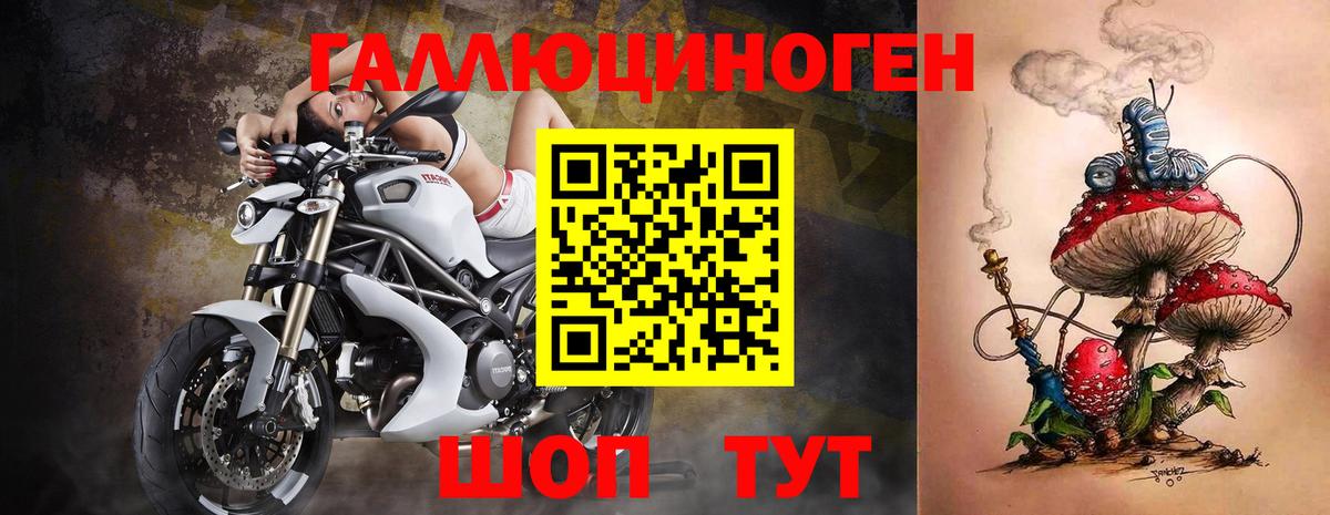 Тара  Псилоцибиновые грибы ЛСД  Вход с VPN 